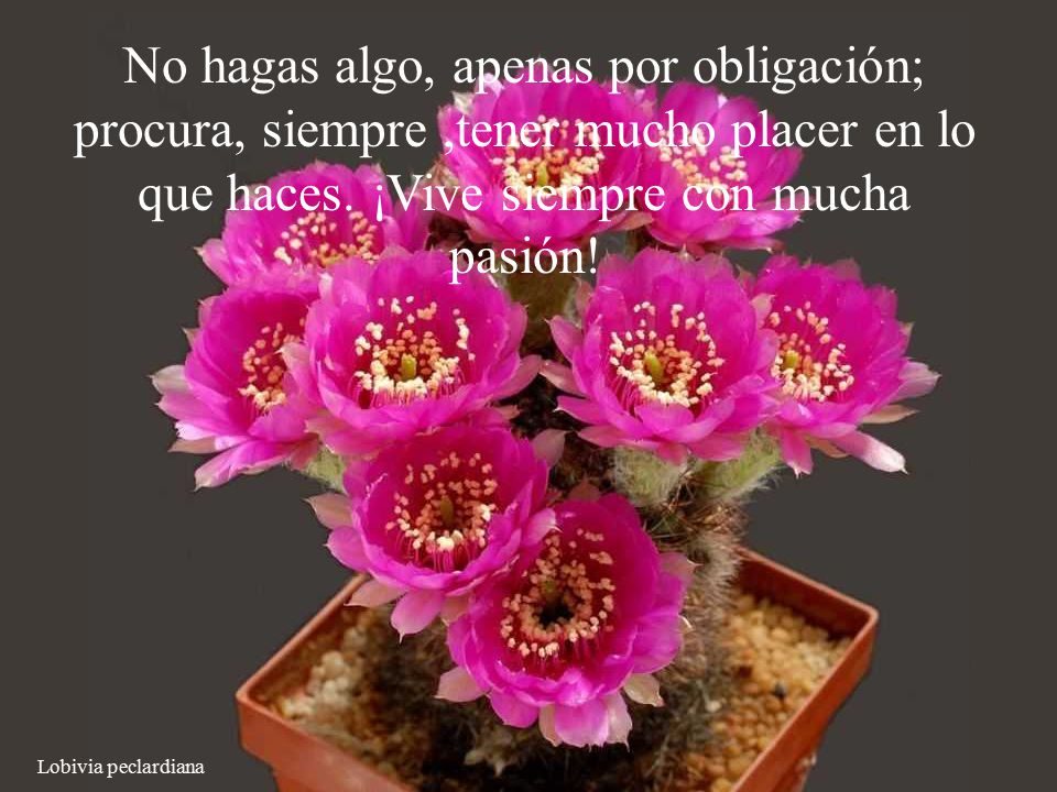 No hagas algo, apenas por obligación; procura, siempre ,tener mucho placer en lo que haces. ¡Vive siempre con mucha pasión!