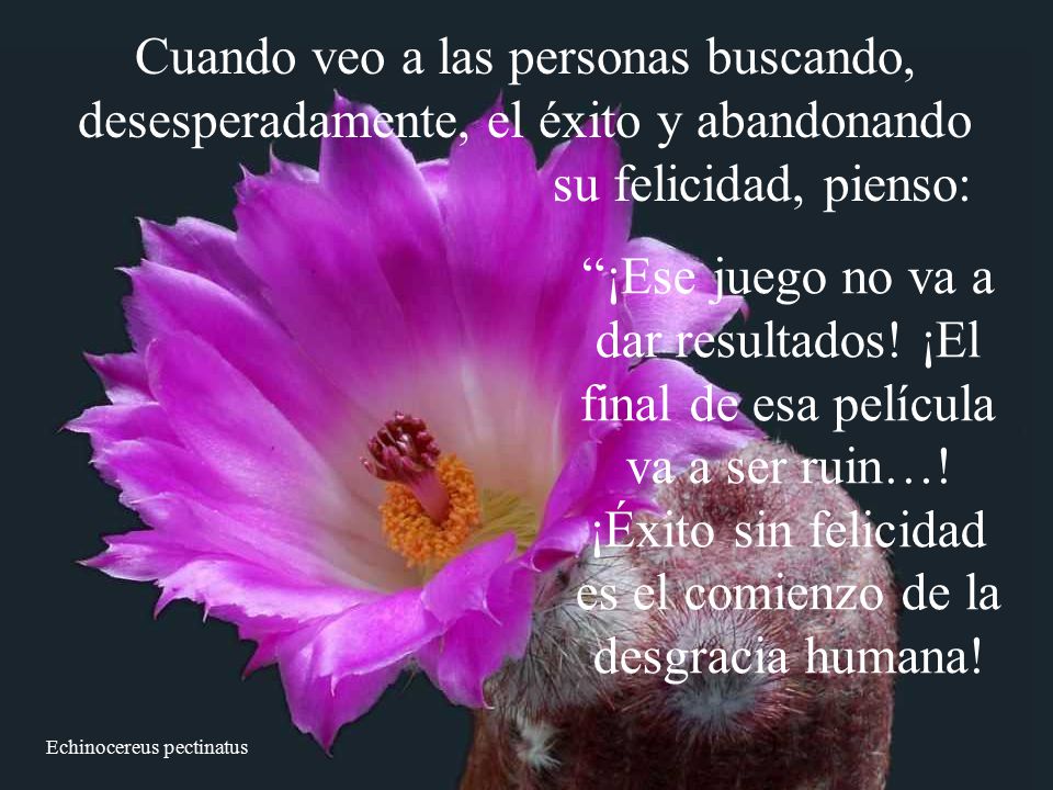 ¡Éxito sin felicidad es el comienzo de la desgracia humana!