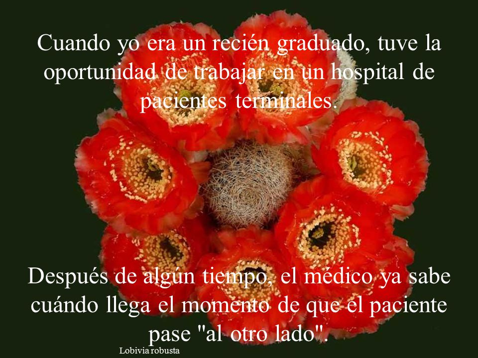 Cuando yo era un recién graduado, tuve la oportunidad de trabajar en un hospital de pacientes terminales.