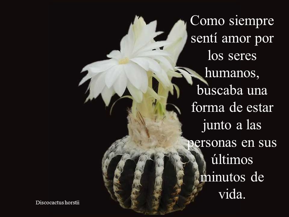 Como siempre sentí amor por los seres humanos, buscaba una forma de estar junto a las personas en sus últimos minutos de vida.