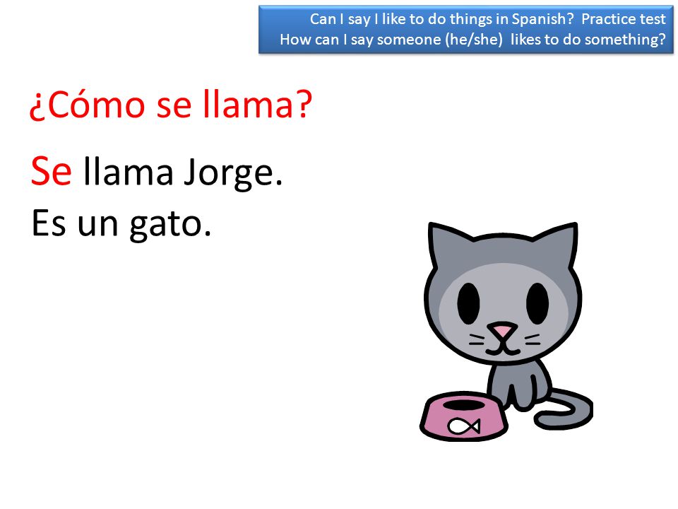 Se llama Jorge. ¿Cómo se llama Es un gato.