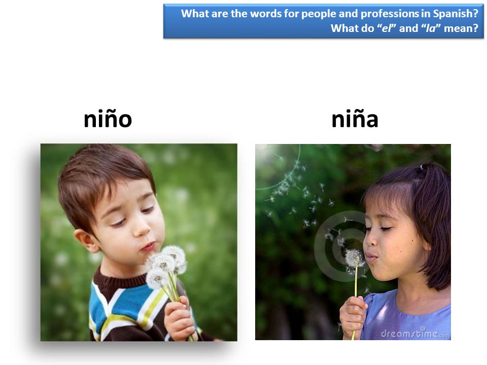 niño niña What are the words for people and professions in Spanish