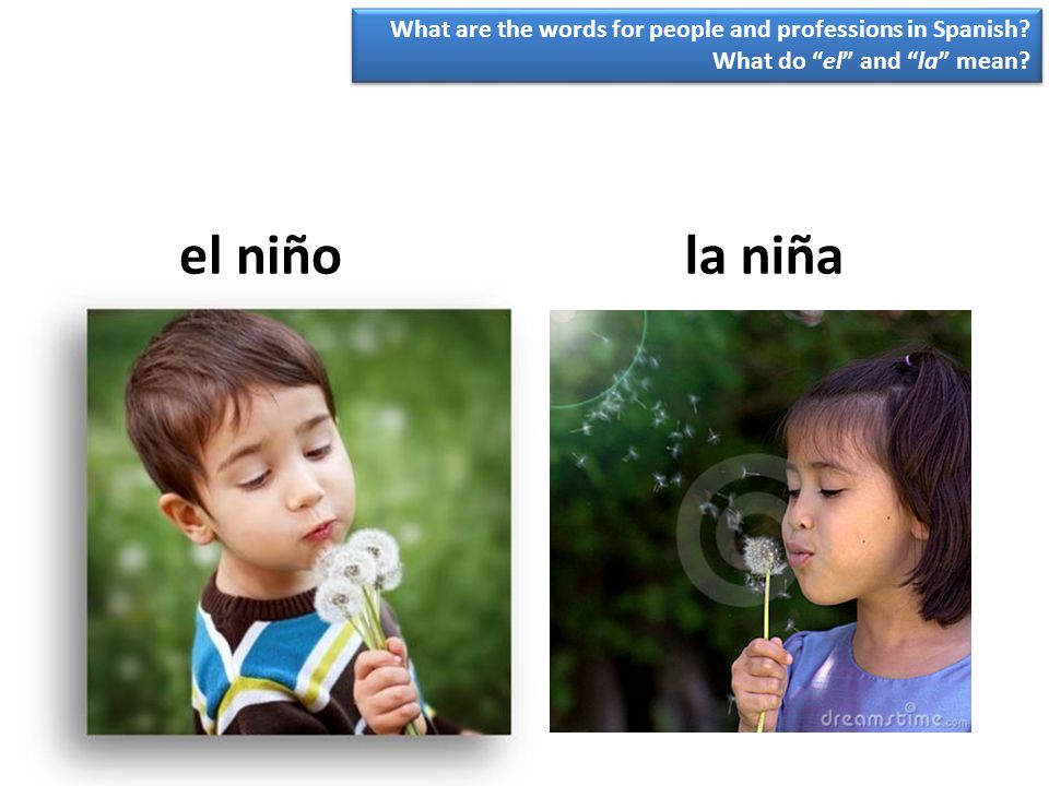 What are the words for people and professions in Spanish