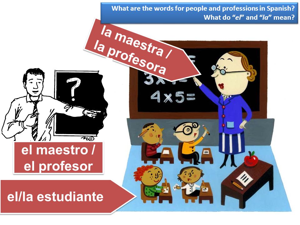 la maestra / la profesora el maestro / el profesor el/la estudiante