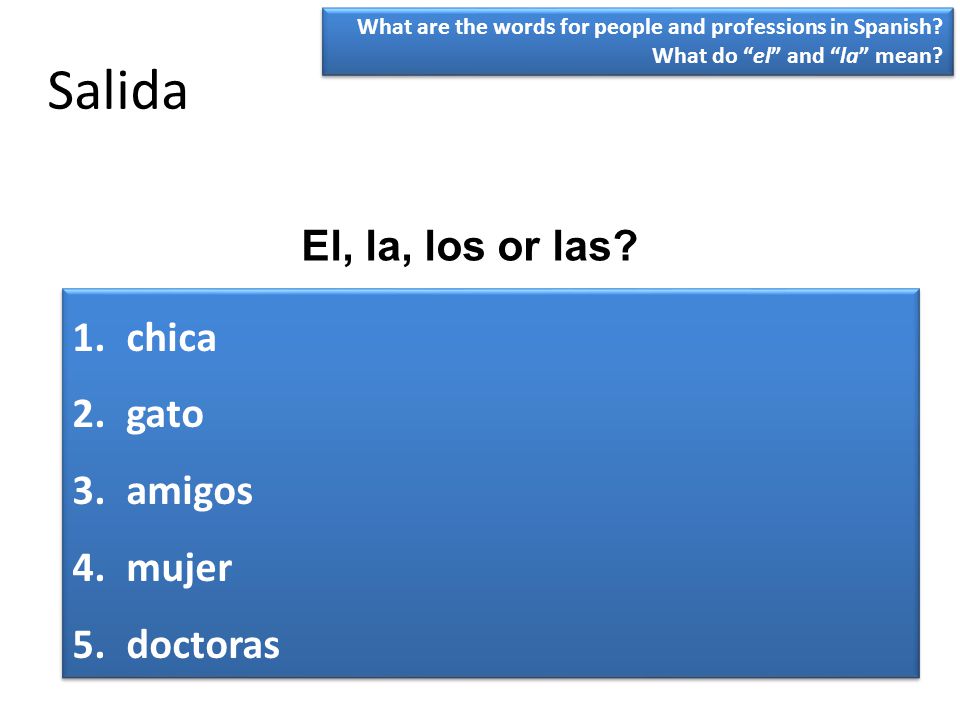 Salida El, la, los or las chica gato amigos mujer doctoras