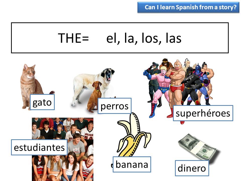 THE= el, la, los, las gato perros superhéroes estudiantes banana