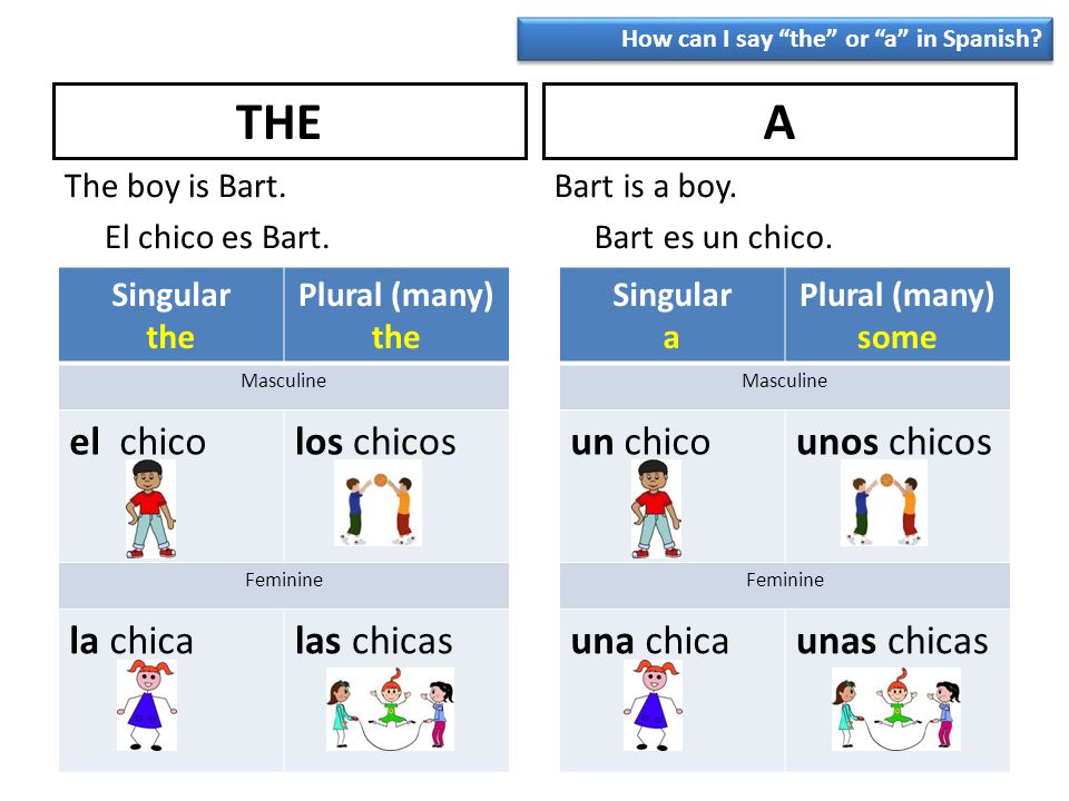 THE A el chico los chicos la chica las chicas un chico unos chicos