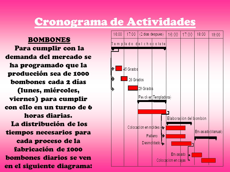 Cronograma de Actividades