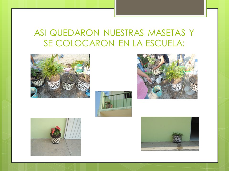 ASI QUEDARON NUESTRAS MASETAS Y SE COLOCARON EN LA ESCUELA: