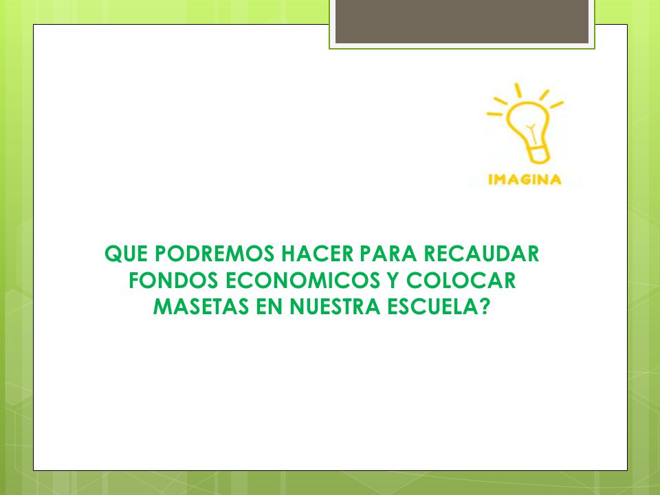 QUE PODREMOS HACER PARA RECAUDAR FONDOS ECONOMICOS Y COLOCAR MASETAS EN NUESTRA ESCUELA