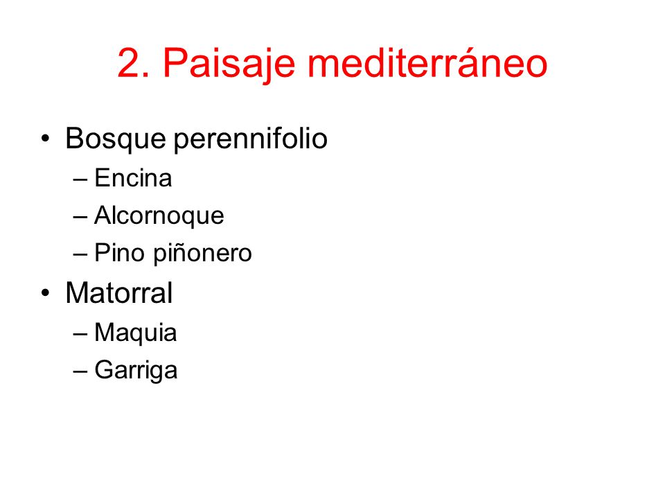 2. Paisaje mediterráneo Bosque perennifolio Matorral Encina Alcornoque