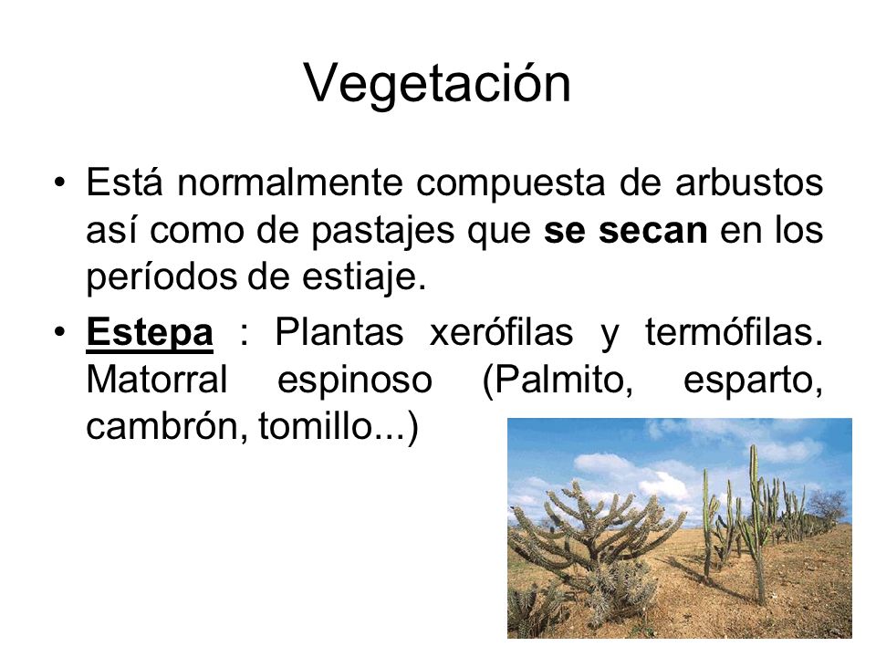 Vegetación Está normalmente compuesta de arbustos así como de pastajes que se secan en los períodos de estiaje.