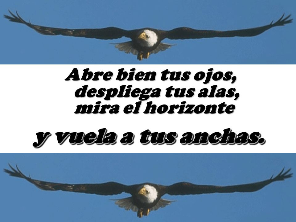 y vuela a tus anchas. Abre bien tus ojos, despliega tus alas,