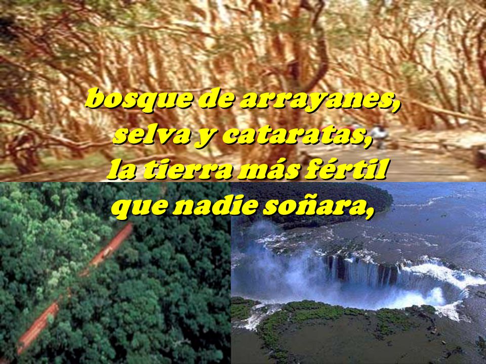 bosque de arrayanes, selva y cataratas, la tierra más fértil que nadie soñara,