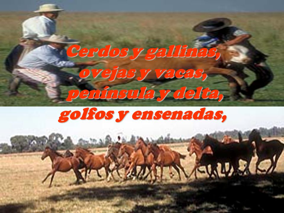 Cerdos y gallinas, ovejas y vacas, península y delta, golfos y ensenadas,