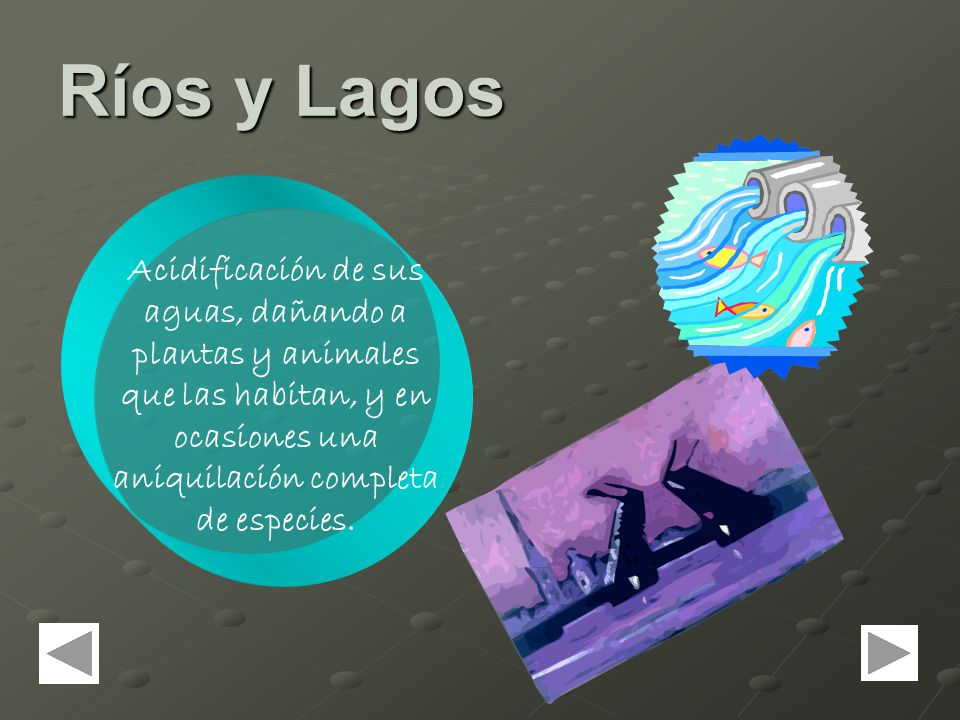 Ríos y Lagos Acidificación de sus aguas, dañando a plantas y animales que las habitan, y en ocasiones una aniquilación completa de especies.