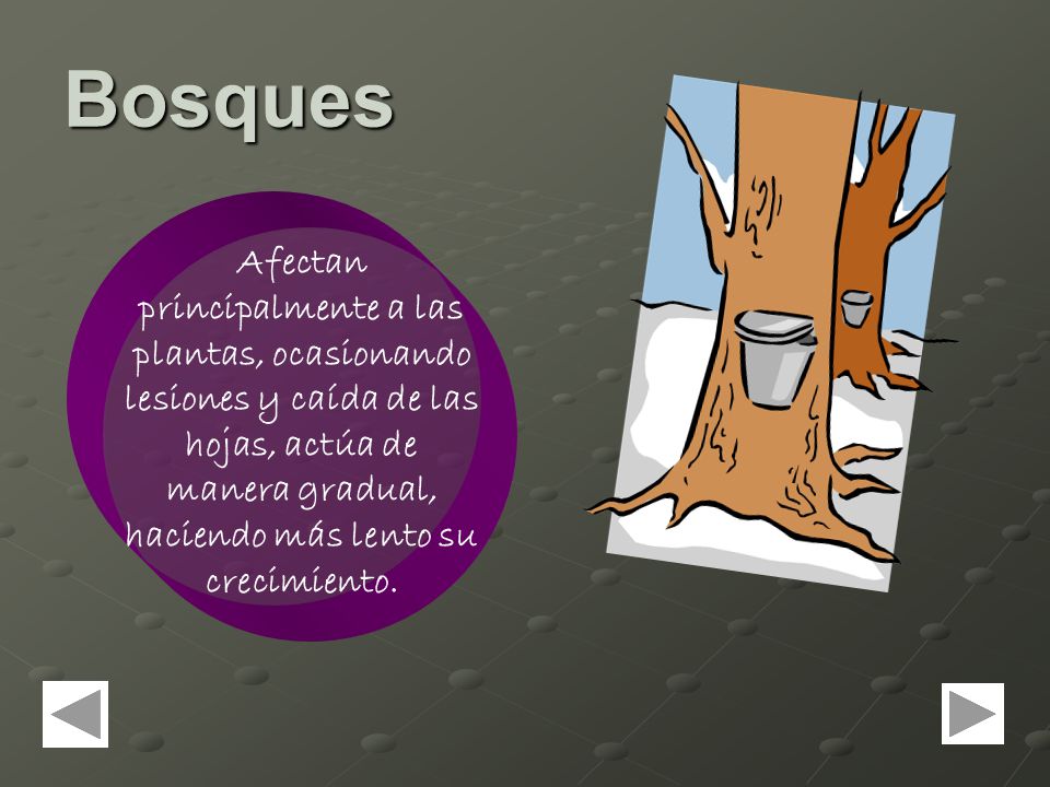 Bosques Afectan principalmente a las plantas, ocasionando lesiones y caída de las hojas, actúa de manera gradual, haciendo más lento su crecimiento.