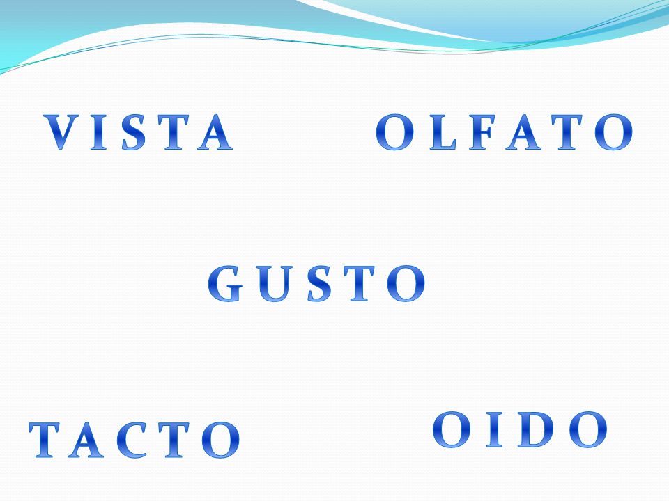 V I S T A O L F A T O G U S T O O I D O T A C T O