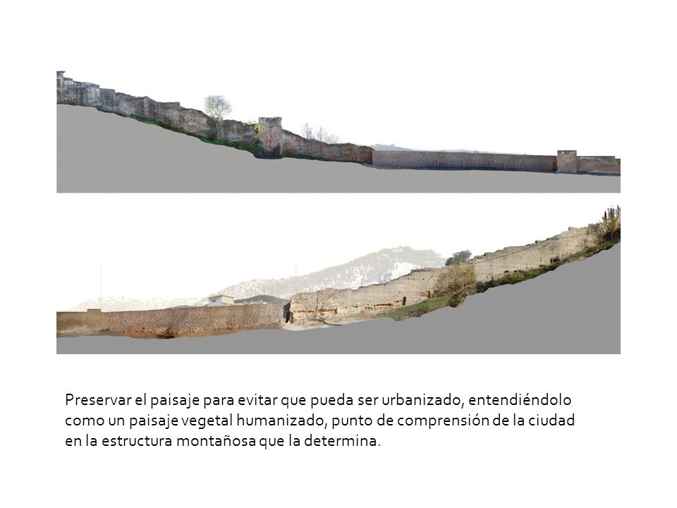 Preservar el paisaje para evitar que pueda ser urbanizado, entendiéndolo como un paisaje vegetal humanizado, punto de comprensión de la ciudad en la estructura montañosa que la determina.