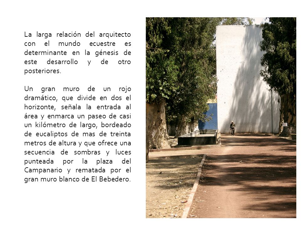 La larga relación del arquitecto con el mundo ecuestre es determinante en la génesis de este desarrollo y de otro posteriores.