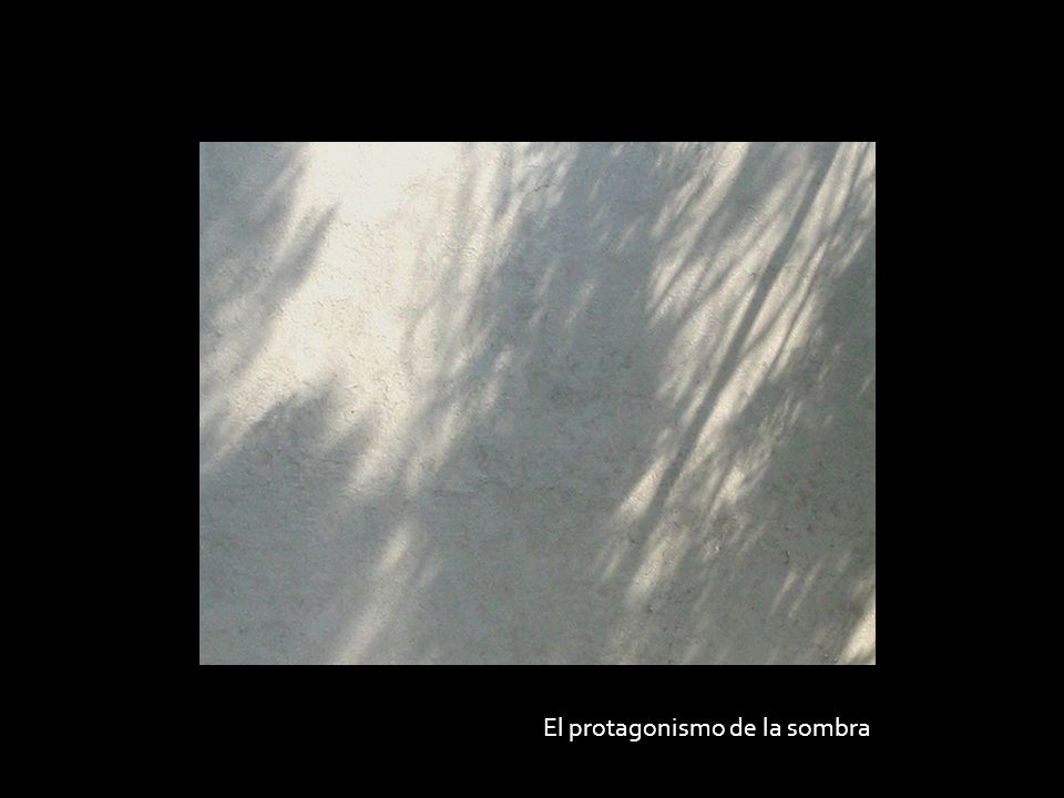 El protagonismo de la sombra