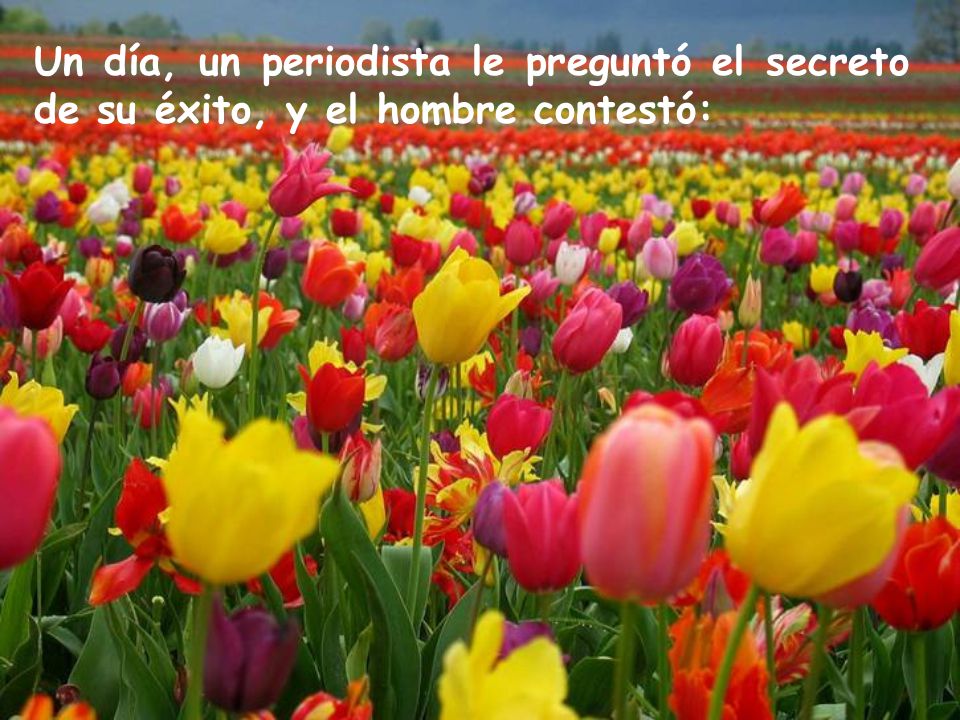 Un día, un periodista le preguntó el secreto de su éxito, y el hombre contestó: