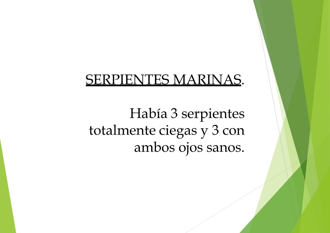 SERPIENTES MARINAS. Había 3 serpientes totalmente ciegas y 3 con ambos ojos sanos.