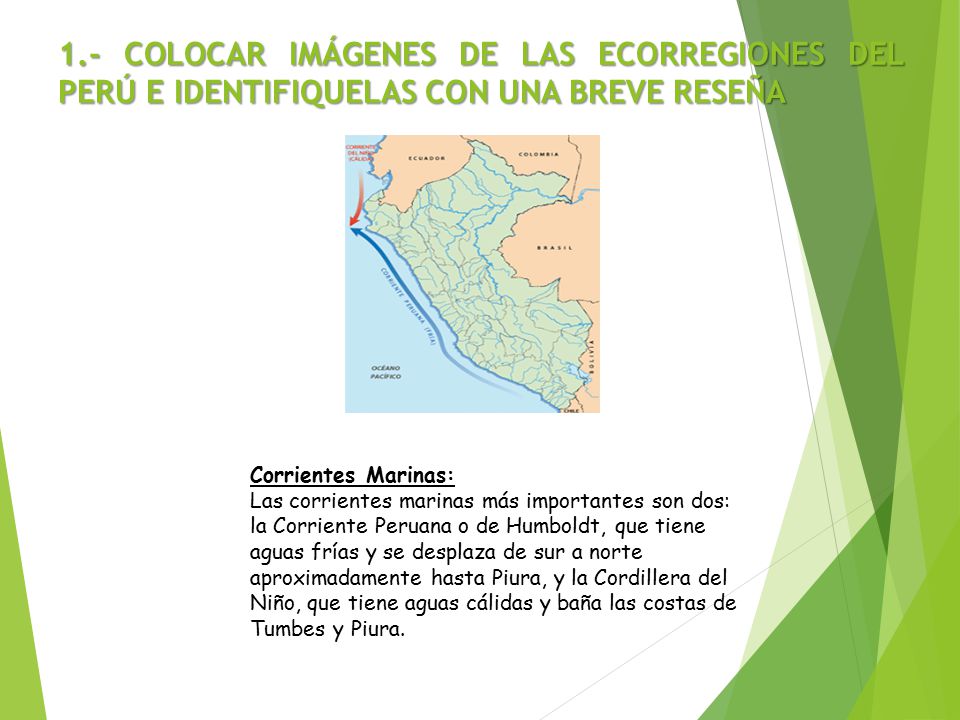 1.- COLOCAR IMÁGENES DE LAS ECORREGIONES DEL PERÚ E IDENTIFIQUELAS CON UNA BREVE RESEÑA