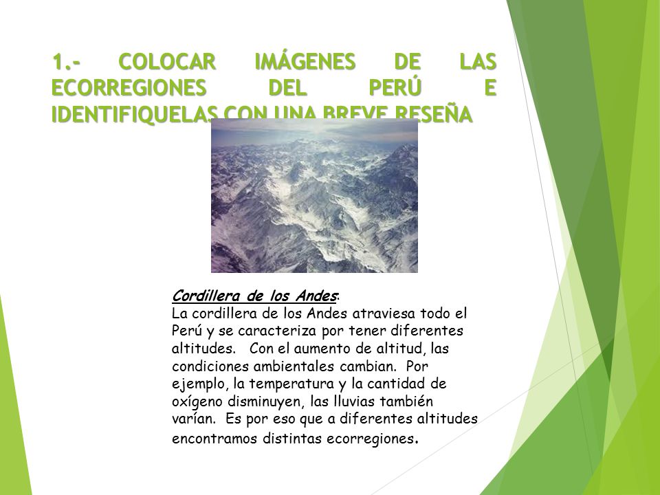 1.- COLOCAR IMÁGENES DE LAS ECORREGIONES DEL PERÚ E IDENTIFIQUELAS CON UNA BREVE RESEÑA