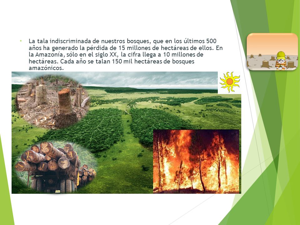 La tala indiscriminada de nuestros bosques, que en los últimos 500 años ha generado la pérdida de 15 millones de hectáreas de ellos.