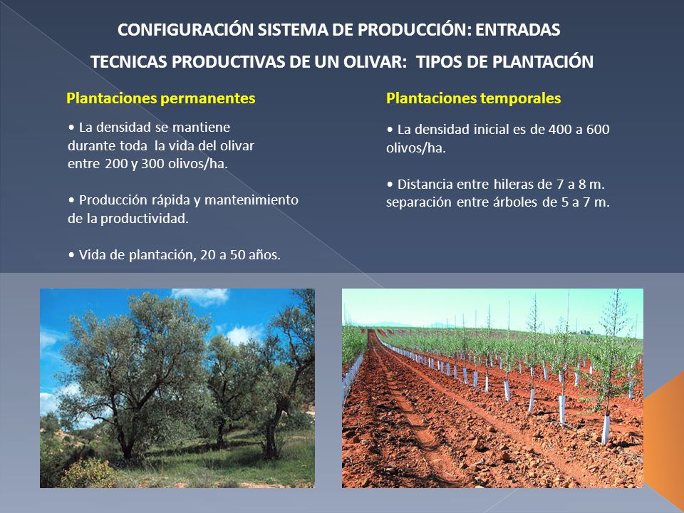 CONFIGURACIÓN SISTEMA DE PRODUCCIÓN: ENTRADAS