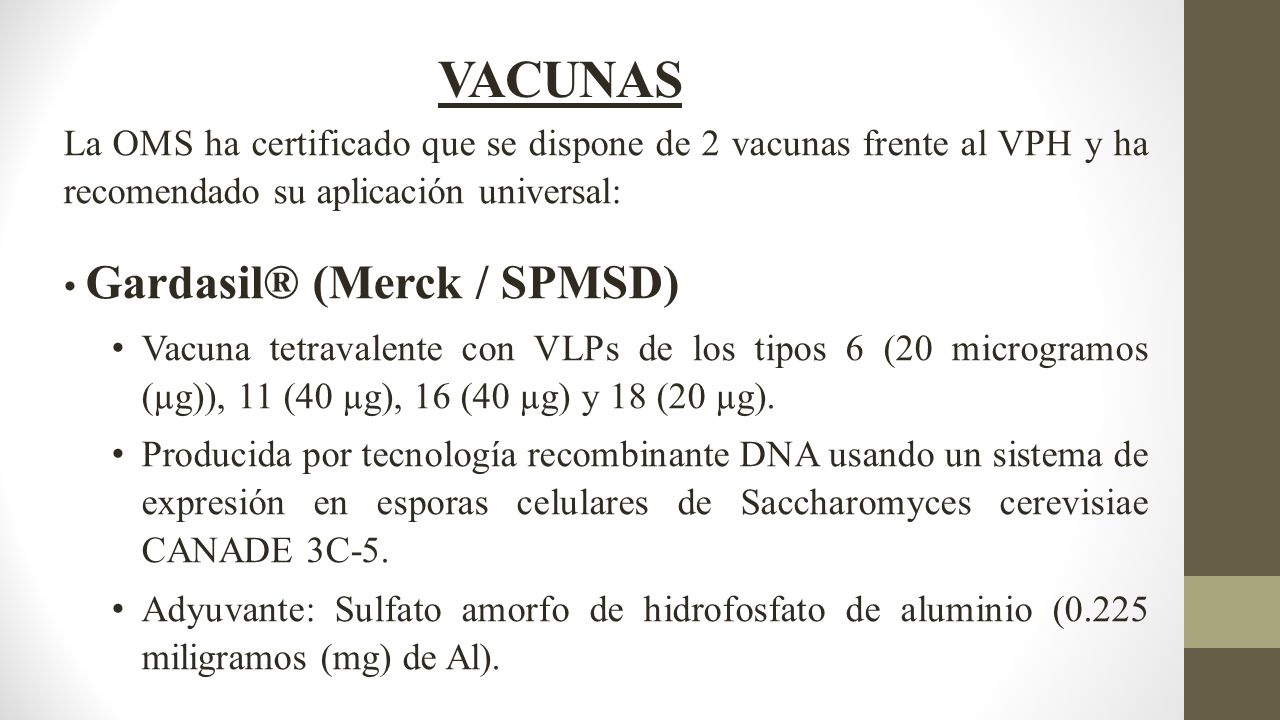 VACUNAS La OMS ha certificado que se dispone de 2 vacunas frente al VPH y ha recomendado su aplicación universal: