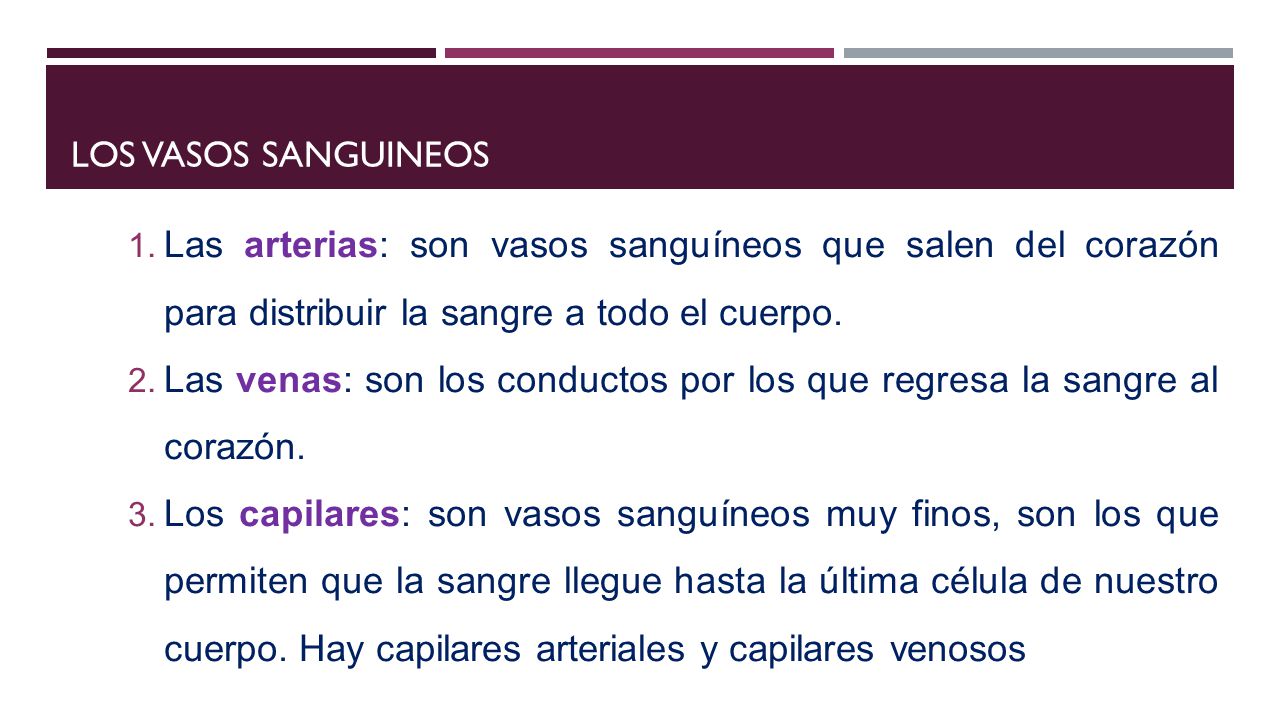 Las venas: son los conductos por los que regresa la sangre al corazón.
