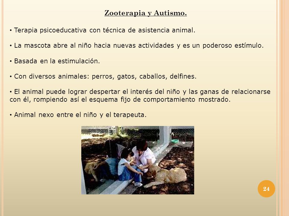 Zooterapia y Autismo. Terapia psicoeducativa con técnica de asistencia animal.