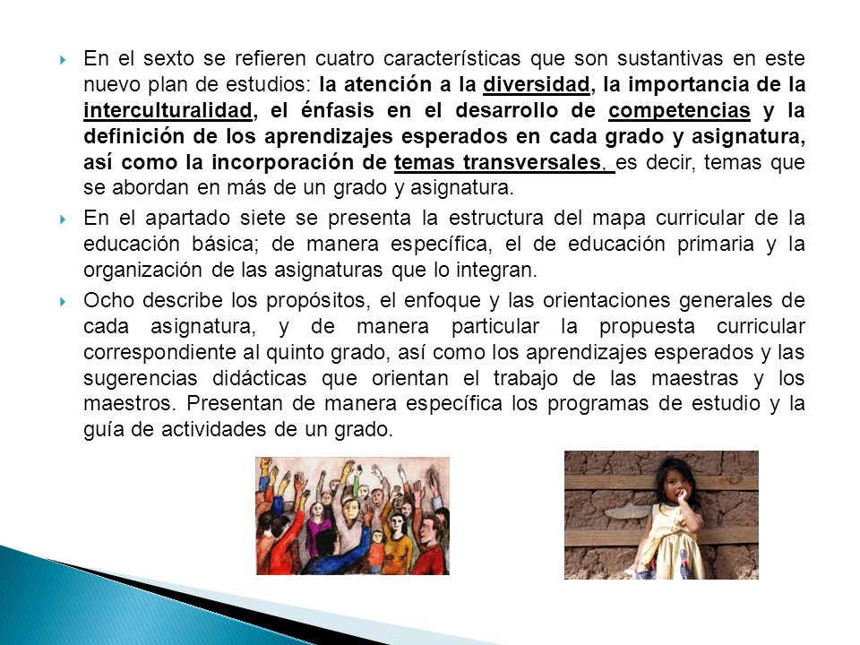 En el sexto se refieren cuatro características que son sustantivas en este nuevo plan de estudios: la atención a la diversidad, la importancia de la interculturalidad, el énfasis en el desarrollo de competencias y la definición de los aprendizajes esperados en cada grado y asignatura, así como la incorporación de temas transversales, es decir, temas que se abordan en más de un grado y asignatura.