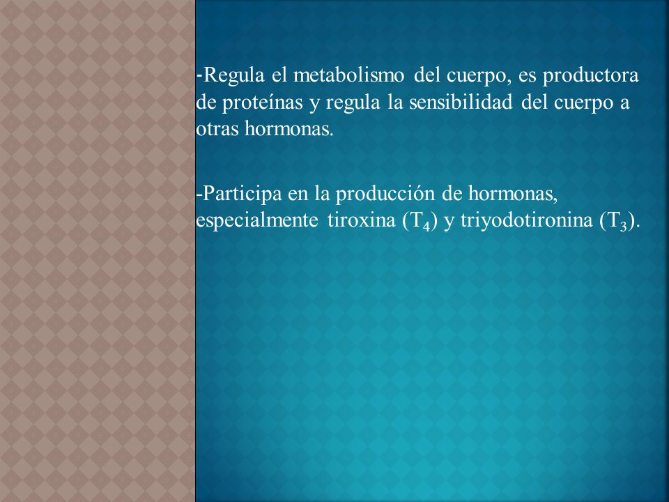 -Regula el metabolismo del cuerpo, es productora de proteínas y regula la sensibilidad del cuerpo a otras hormonas.
