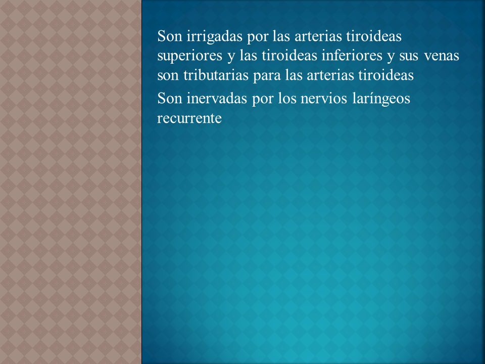 Son irrigadas por las arterias tiroideas superiores y las tiroideas inferiores y sus venas son tributarias para las arterias tiroideas