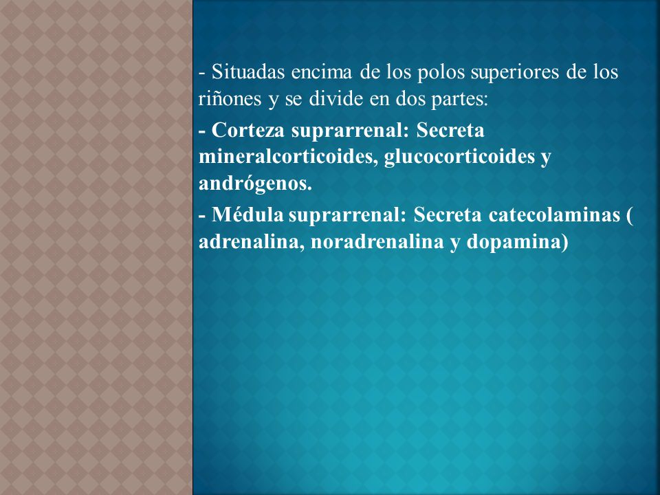 - Situadas encima de los polos superiores de los riñones y se divide en dos partes: