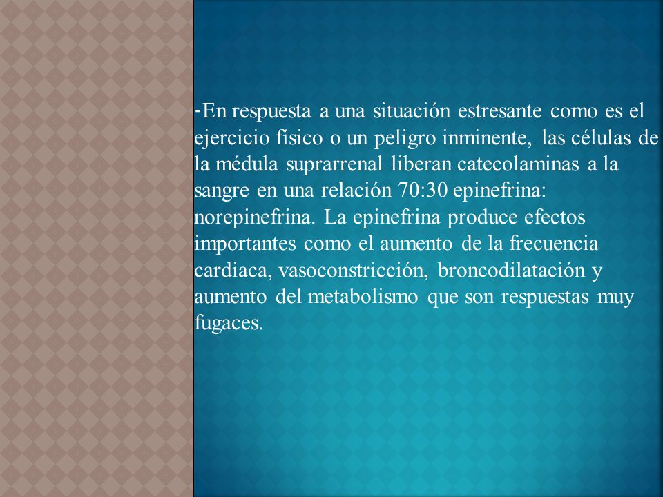 -En respuesta a una situación estresante como es el ejercicio físico o un peligro inminente, las células de la médula suprarrenal liberan catecolaminas a la sangre en una relación 70:30 epinefrina: norepinefrina.