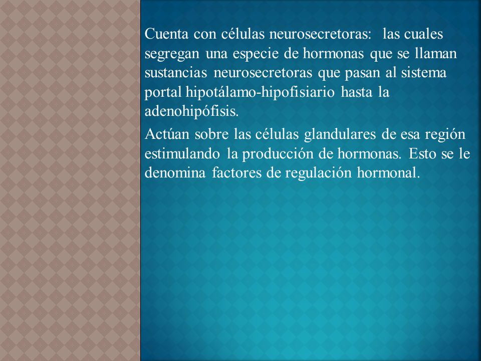 Cuenta con células neurosecretoras: las cuales segregan una especie de hormonas que se llaman sustancias neurosecretoras que pasan al sistema portal hipotálamo-hipofisiario hasta la adenohipófisis.
