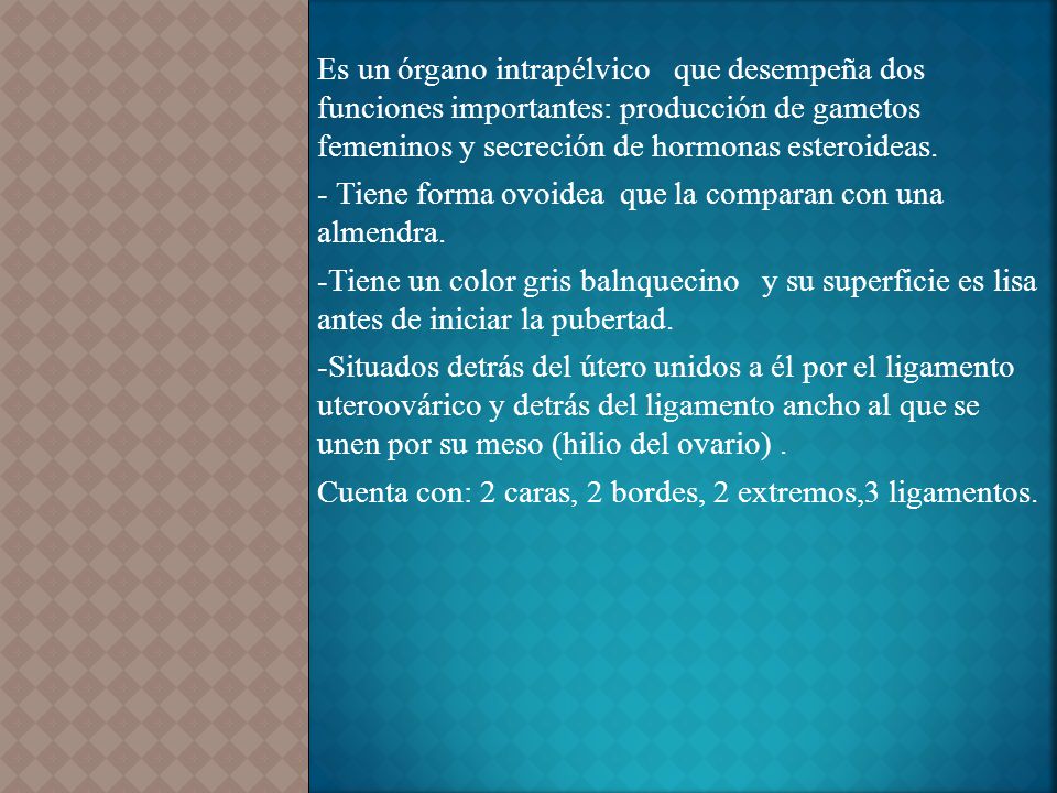 Es un órgano intrapélvico que desempeña dos funciones importantes: producción de gametos femeninos y secreción de hormonas esteroideas.