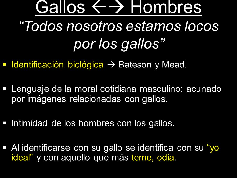 Gallos  Hombres Todos nosotros estamos locos por los gallos