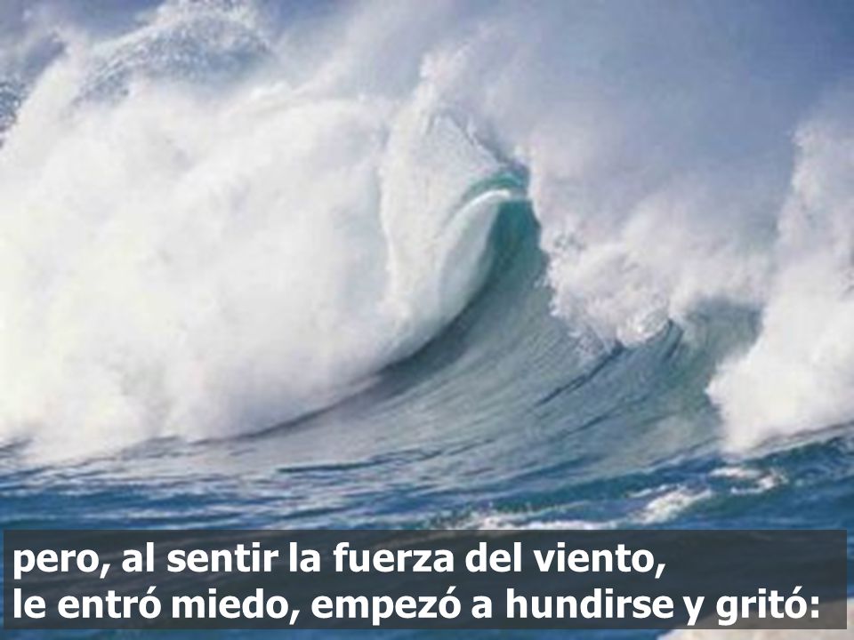 pero, al sentir la fuerza del viento, le entró miedo, empezó a hundirse y gritó: