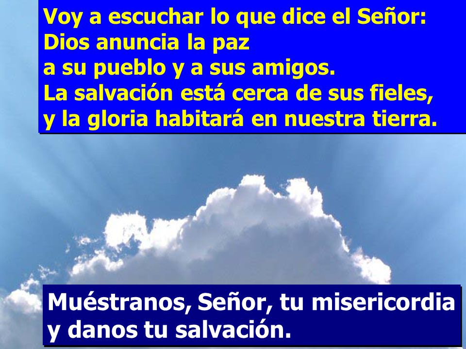 Muéstranos, Señor, tu misericordia y danos tu salvación.