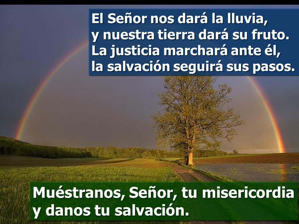 Muéstranos, Señor, tu misericordia y danos tu salvación.