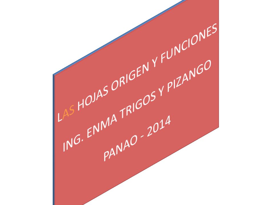 LAS HOJAS ORIGEN Y FUNCIONES ING. ENMA TRIGOS Y PIZANGO PANAO
