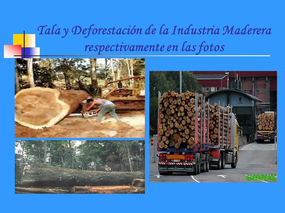 Tala y Deforestación de la Industria Maderera respectivamente en las fotos