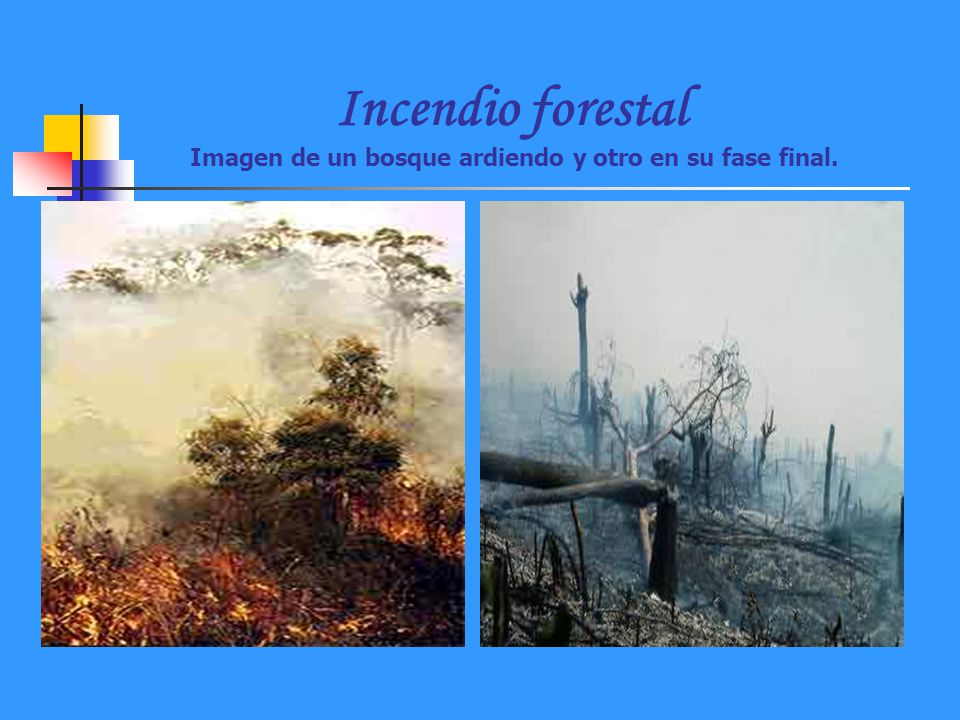 Incendio forestal Imagen de un bosque ardiendo y otro en su fase final.