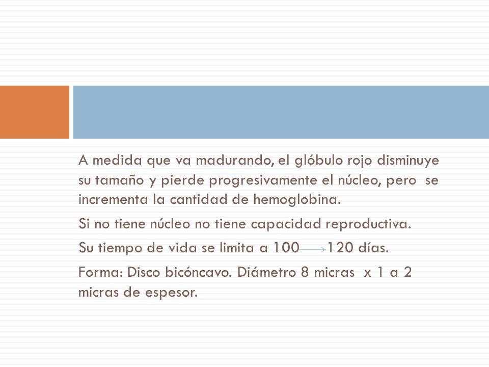 A medida que va madurando, el glóbulo rojo disminuye su tamaño y pierde progresivamente el núcleo, pero se incrementa la cantidad de hemoglobina.