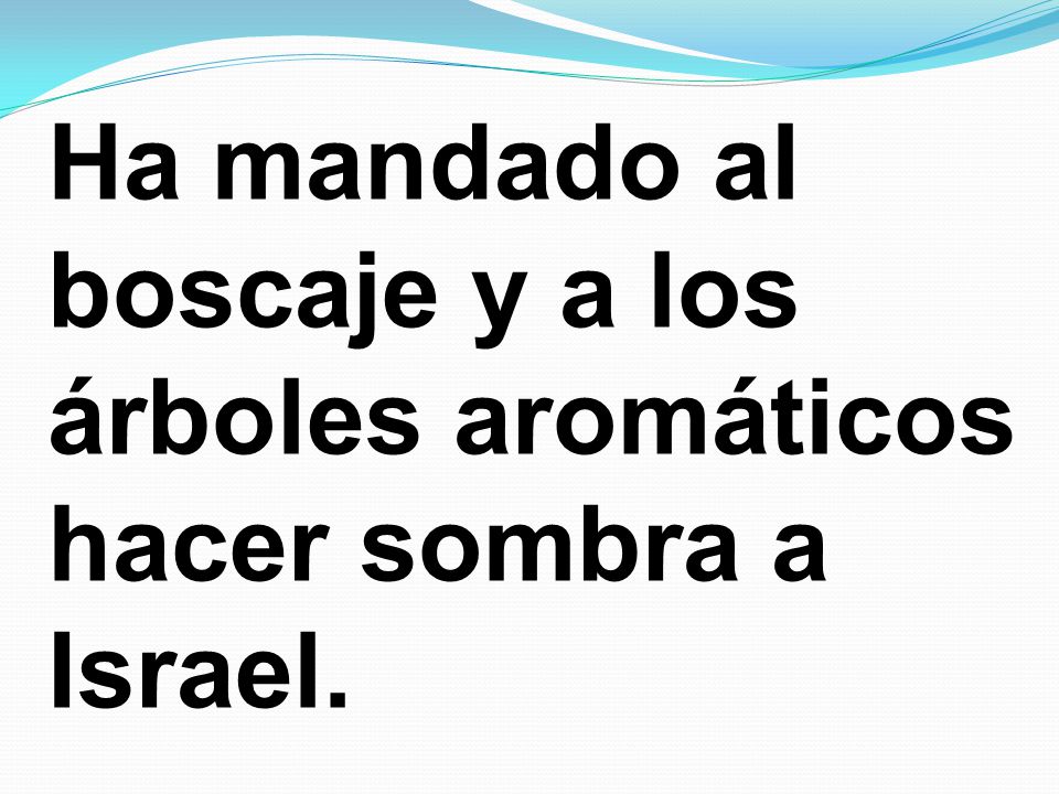 Ha mandado al boscaje y a los árboles aromáticos hacer sombra a Israel.
